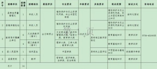 北湖区人民政府办公室最新招聘公告概览