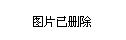 2024年12月4日 第31页