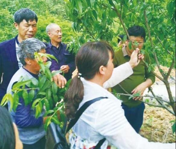 炎陵县初中领导团队引领未来，铸就辉煌新篇章