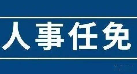 安庆市教育局人事任命揭晓，重塑未来教育领导团队