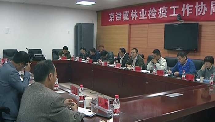 三站林场最新人事任命动态分析