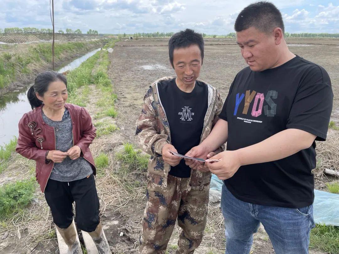 格尼河农场最新人事任命，塑造未来农业的新篇章