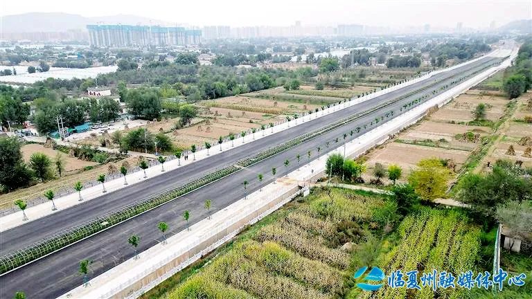 双桥区公路运输管理事业单位的最新动态与革新概览