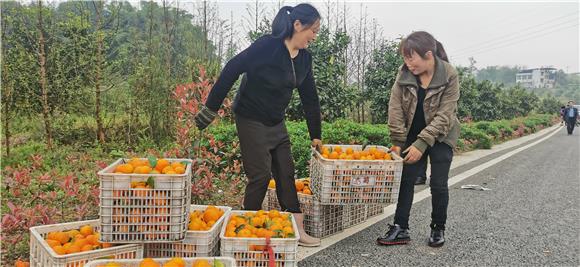 平滩镇最新新闻报道