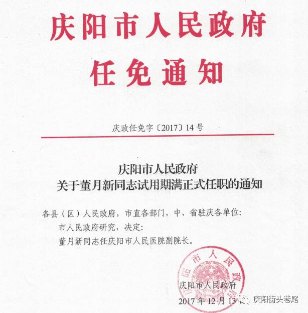 临清市审计局人事任命揭晓，新任领导将带来深远变革