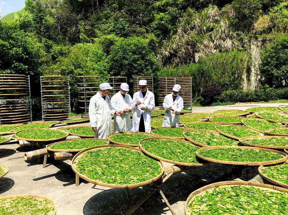 荔蒲县农业农村局新项目推动农业现代化，乡村振兴再添动力