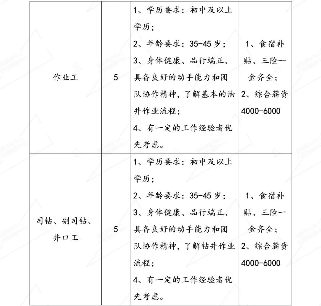 新城区司法局最新招聘信息详解