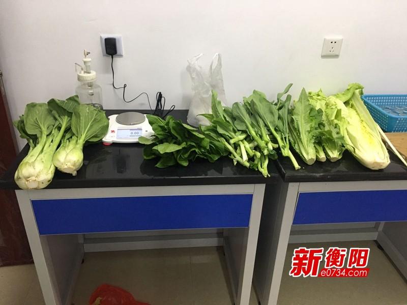 衡阳市粮食局最新动态更新